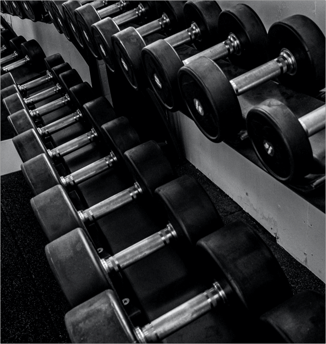 what to expect from my program pic.png